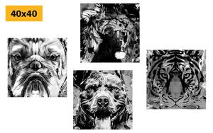 Set slika životinje u crno-bijelom pop art stilu