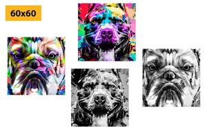 Set slika psi u pop art dizajnu