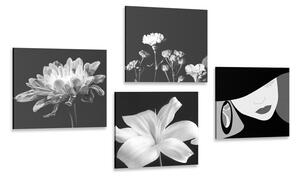 Set slika elegancija žene i cvijeća u crno-bijelom dizajnu