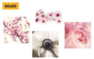 Set slika nježnost cvijeća