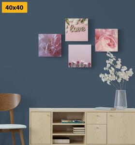 Set slika cvijeće u nježnoj ružičastoj nijansi