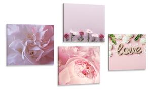Set slika cvijeće u nježnoj ružičastoj nijansi