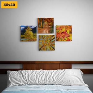 Set slika jesenska priroda u prekrasnim bojama - 4x 40x40