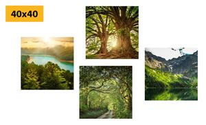 Set slika prekrasna zelena priroda