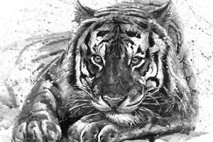 Slika grabežljiva zvijer u crno-bijelom dizajnu