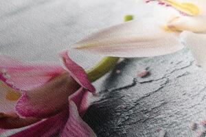 Slika cvjetovi orhideje