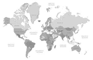 Slika na plutu crno-bijeli zemljovid svijeta u vintage dizajnu