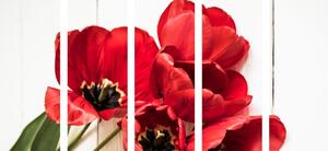 5-dijelna slika crveni tulipani u rascvatu