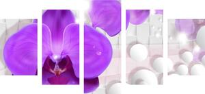 5-dijelna slika orhideja na apstraktnoj pozadini