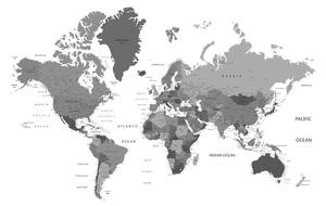 Slika na plutu zemljovid svijeta u crno-bijeloj boji