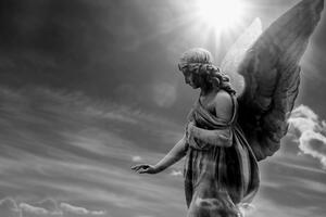 Slika prekrasni crno-bijeli anđeo na nebu