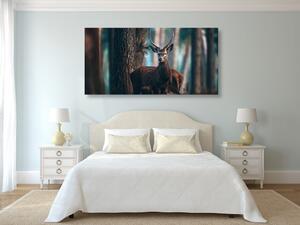 Slika jelen u šumi