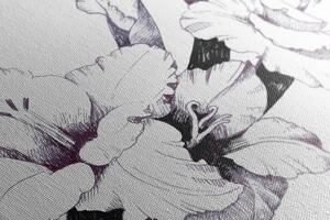 Slika ilustracija gladiole u cvatu