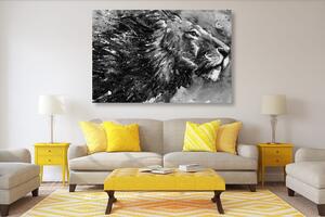 Slika kralj životinja u crno-bijelom akvarelu