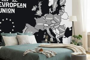 Tapeta crno-bijeli zemljovid s nazivima država članica EU-a