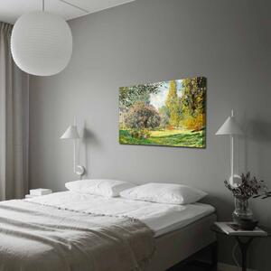 Reprodukcija na platnu Claude Monet, 100 x 70 cm