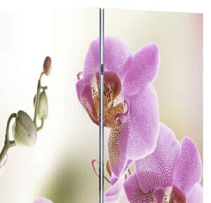 VidaXL Sklopiva sobna pregrada s uzorkom cvijeća 160 x 170 cm