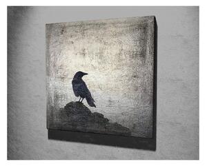 Zidna slika na platnu Black Bird, 45 x 45 cm