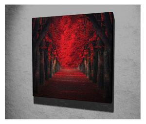 Zidna slika na platnu Red Trees, 45 x 45 cm