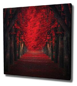 Zidna slika na platnu Red Trees, 45 x 45 cm