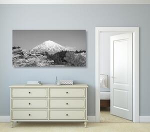Slika planina Fuji u crno-bijelom dizajnu