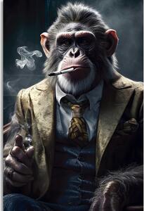 Slika životinja gangster čimpanza