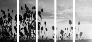 5-dijelna slika vlati trave na polju u crno-bijelom dizajnu