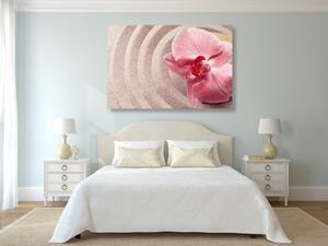 Slika morski pijesak i ružičasta orhideja