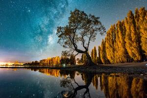 Slika stablo ispod zvjezdanog neba