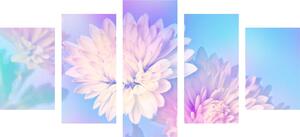 5-dijelna slika cvijet krizanteme