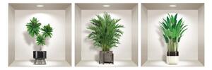 Set s 3 zidne 3D samoljepljive naljepnice Ambiance Indoor Plants