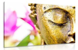 Slika zlatno lice Buddhe