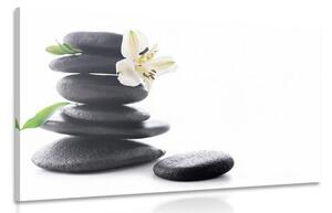 Slika Zen kamenje s ljiljanom