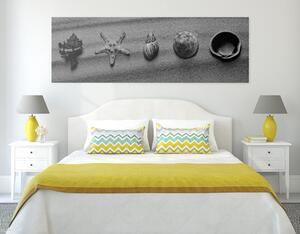 Slika školjke na pješčanoj plaži u crno-bijelom dizajnu
