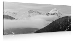 Slika zimski krajolik u crno-bijelom dizajnu