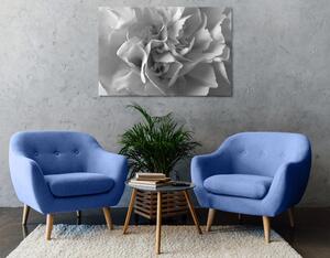 Slika latice karanfila u crno-bijelom dizajnu