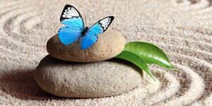 Slika plavi leptir na Zen kameni
