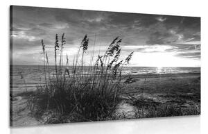 Slika zalazak sunca na plaži u crno-bijelom dizajnu