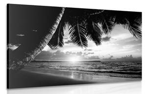 Slika izlazak sunca na karipskoj plaži u crno-bijelom dizajnu
