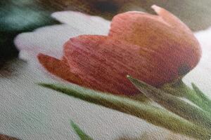 Slika livada tulipana u retro stilu