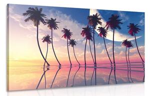 Slika zalazak sunca iznad tropskih palmi