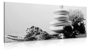 Slika Zen kamenje sa školjkama u crno-bijelom dizajnu