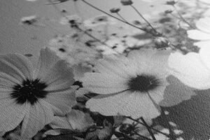 Slika livada s proljetnim cvijećem u crno-bijelom dizajnu