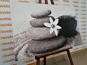 Slika cvijet i kamenje u pijesku u crno-bijelom dizajnu