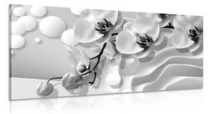 Slika crno-bijela orhideja na apstraktnom pozadini