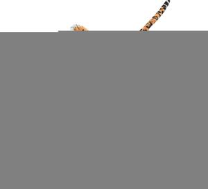 VidaXL Tepih Leopard od Pliša 139 cm Smeđi
