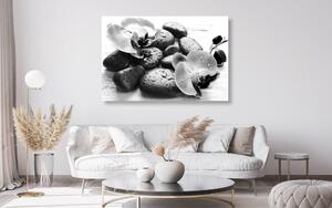 Slika prekrasan sklad kamenja i orhideje u crno-bijelom dizajnu