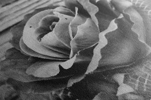 Slika vintage ruža u crno-bijelom dizajnu