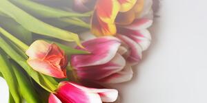 Slika buket šarenih tulipana