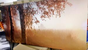 Slika jesenja šuma u magli